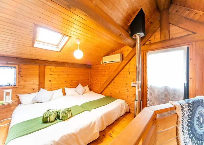 Awaji Seaside Log House